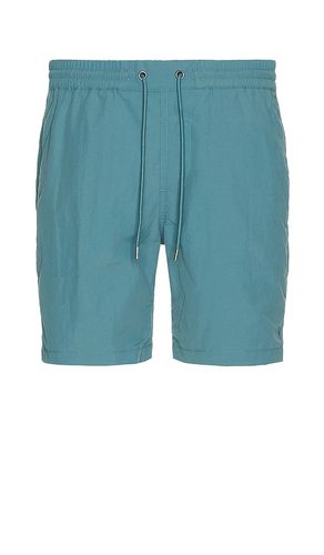 Warden Swim Short in . Size L, S, XL/1X - ALLSAINTS - Modalova