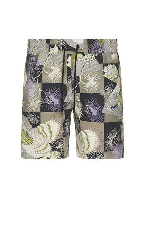 SHORT DE BAIN in . Size M, S, XL/1X - ALLSAINTS - Modalova