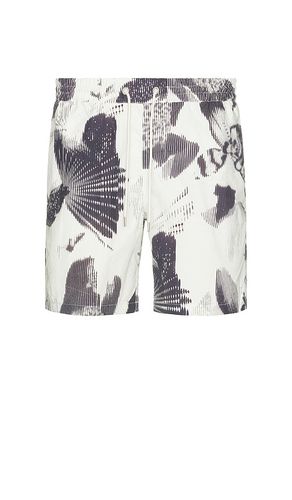 SHORT DE BAIN in . Size XL/1X - ALLSAINTS - Modalova