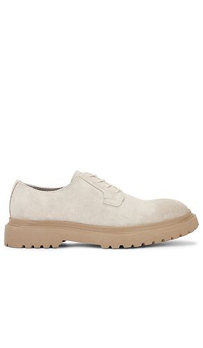 CHAUSSURES in . Size 12, 8 - ALLSAINTS - Modalova