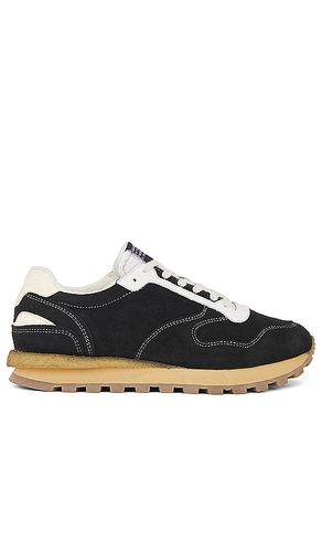 Rimini Low Top in . Size 9 - ALLSAINTS - Modalova