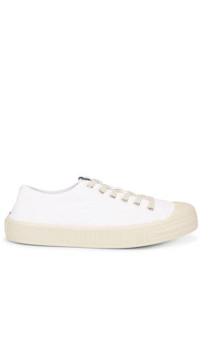 SNEAKERS in . Size 9 - ALLSAINTS - Modalova