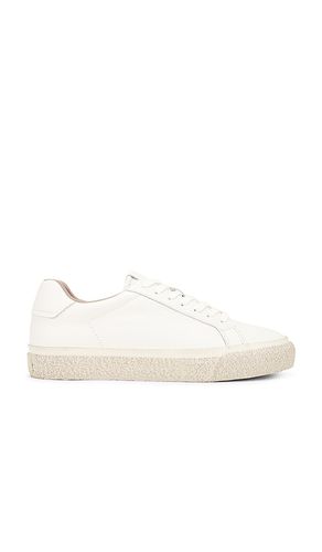 SNEAKERS KLOP in . Size 13, 9 - ALLSAINTS - Modalova