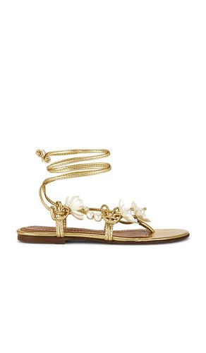 SANDALES ISLA PERL en . Taille 36. Also en 37, 39 - Alameda Turquesa - Modalova