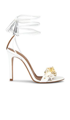 SANDALES SIRENA en . Taille 36. Also en 38 - Alameda Turquesa - Modalova