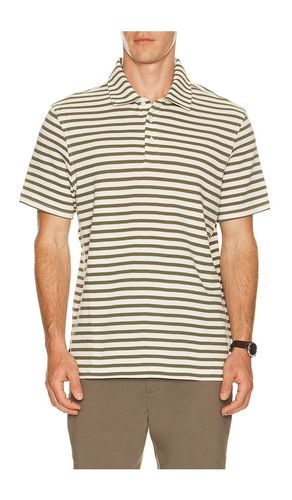 Farlam Striped Tailored Polo en . Taille S. Also en M, L, XL/1X - Barbour - Modalova