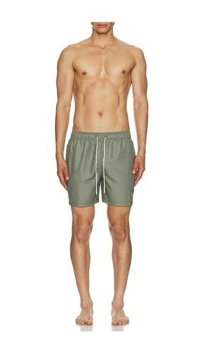 Shell Swim Short en . Taille S. Also en M, XL/1X - Barbour - Modalova