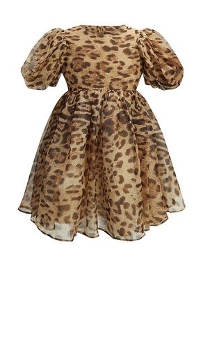 ROBE COURTE JULIET in . Size 5, 6 - Bardot Junior - Modalova