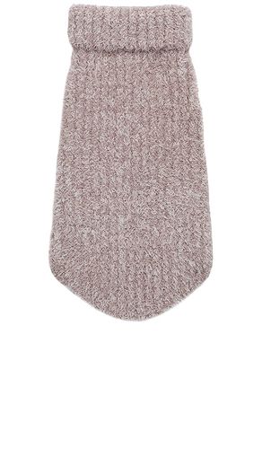 PULL POUR CHIEN COZYCHIC RIBBED PET SWEATER in . Size L, S, XL/1X, XS, XXL/2X - Barefoot Dreams - Modalova