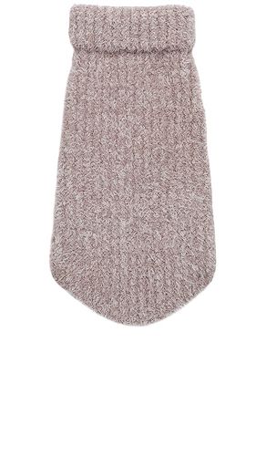 PULL POUR CHIEN COZYCHIC RIBBED PET SWEATER in . Size L, XL/1X, XXL/2X, XXXL/3X - Barefoot Dreams - Modalova