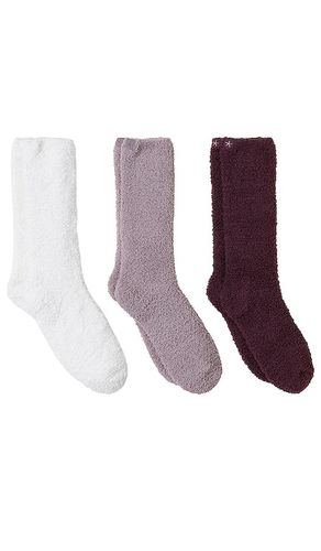 CHAUSSETTES COZYCHIC in - Barefoot Dreams - Modalova