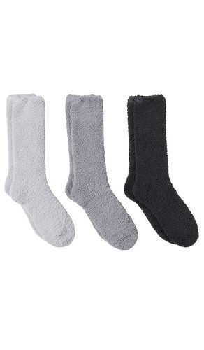 LOT DE CHAUSSETTES COZYCHIC 3 PAIR SOCK SET in - Barefoot Dreams - Modalova