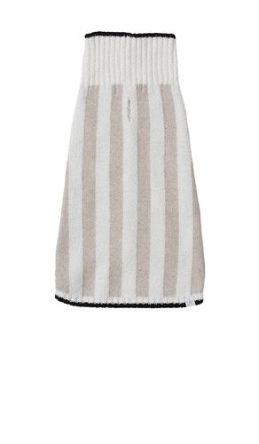 PULL POUR CHIEN COZYCHIC COTTON CLASSIC STRIPE PET SWEATER in . Size M, S, XL, XS, XXL, XXXL - Barefoot Dreams - Modalova