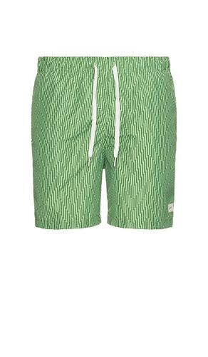 MAILLOT DE BAIN in . Size S, XL/1X - Bather - Modalova