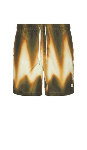 MAILLOT DE BAIN in . Size M, XL/1X - Bather - Modalova