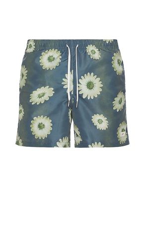 SHORT DE BAIN CONCRETE AIR GARDEN in . Size M, S, XL/1X - Bather - Modalova