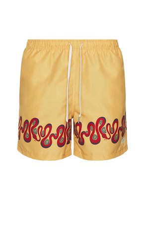 SHORT DE BAIN OCHRE DIZZY BOA en . Taille L. Also en M, S, XL/1X - Bather - Modalova