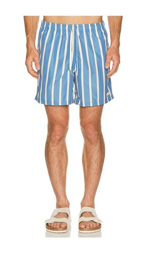 Fine Stripe Swim Trunk en . Taille S. Also en M, L, XL/1X - Bather - Modalova