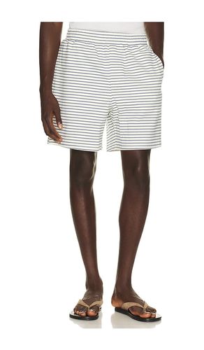 Stripe Jacquard Shorts en . Taille S. Also en M, L, XL/1X - Bound - Modalova