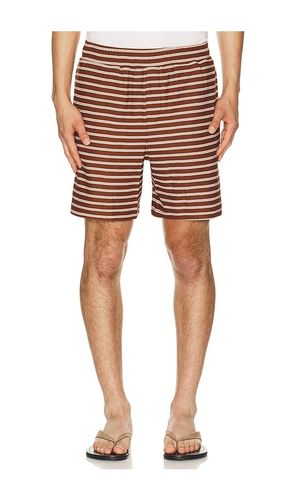 Stripe Jacquard Shorts en . Taille S. Also en M, L, XL/1X - Bound - Modalova