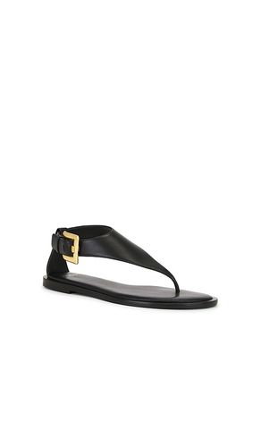 SANDALES ANTHEM THONG en . Taille 36. Also en 37, 38, 39, 40 - BALMAIN - Modalova