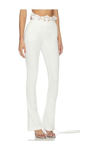 PANTALON COMPACT TAILOR en . Taille 36. Also en 38 - Blumarine - Modalova