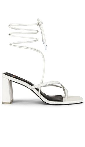 SANDALES DELILAH in . Size 8, 8.5, 9, 9.5 - BLACK SUEDE STUDIO - Modalova