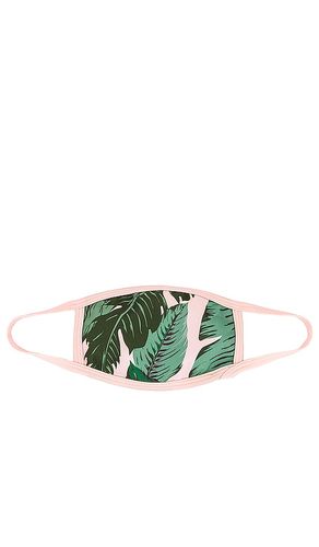 BEACH RIOT MASQUE VISAGE en Green - BEACH RIOT - Modalova
