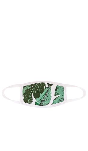 BEACH RIOT MASQUE VISAGE en Green - BEACH RIOT - Modalova