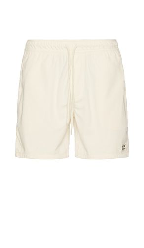 SHORT EVERYDAY in . Size M, S, XL/1X - Brixton - Modalova