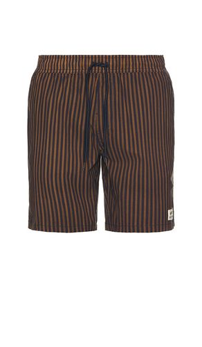 SHORT EVERYDAY in . Size M, S, XL/1X - Brixton - Modalova