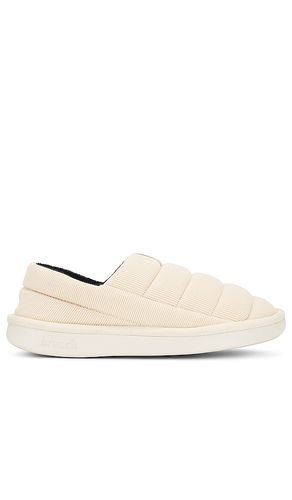 CHAUSSURES en . Taille 10/10.5. Also en 8/8.5, 9/9.5 - Brunch - Modalova