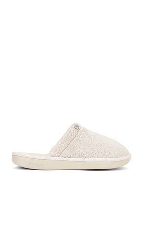 PANTOUFLES en . Taille 10/10.5. Also en 11/11.5, 12/12.5, 13/13.5, 8/8.5, 9/9.5 - Brunch - Modalova