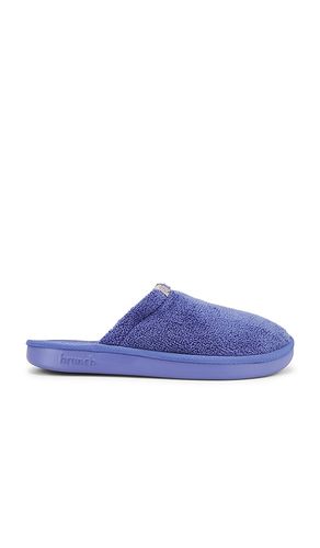 SLIPPERS ESSENTIAL en . Taille 10/10.5. Also en 11/11.5, 12/12.5, 13/13.5, 9/9.5 - Brunch - Modalova