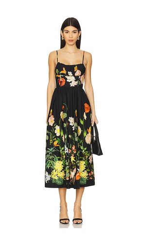 ROBE MI-LONGUE ALBA in . Size 00, 6, 8 - Cara Cara - Modalova