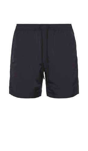 The Obsidians 6 Freestyle Short in . Size XL/1X - Chubbies - Modalova