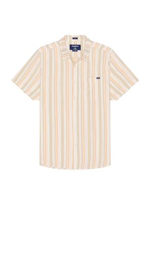 CHEMISE THE en . Taille L. Also en M, S, XL/1X - Chubbies - Modalova
