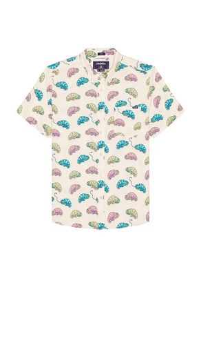 CHEMISE THE en . Taille L. Also en M, S, XL/1X - Chubbies - Modalova