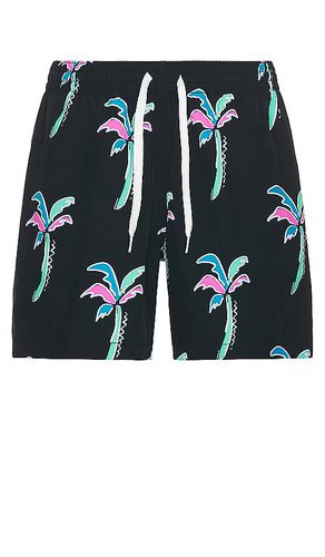 The Havana Nights 5.5 Swim Short in . Size XXL/2X - Chubbies - Modalova