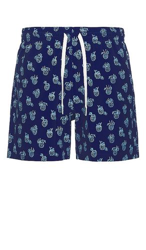 The Coladas 5.5 Swim Short in . Size S, XXL/2X - Chubbies - Modalova