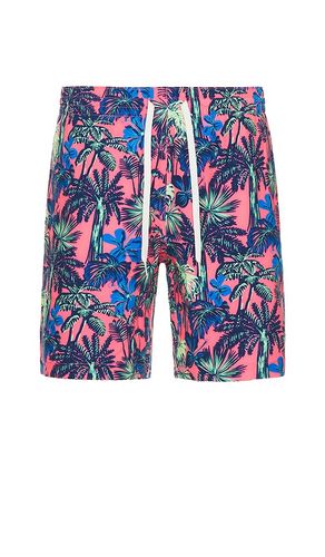 SHORT DE BAIN in . Size S, XL/1X - Chubbies - Modalova