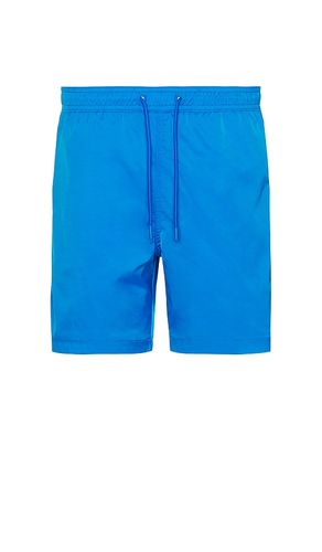 SHORT DE BAIN in . Size S, XL/1X - Chubbies - Modalova