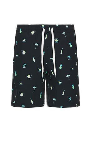 The Beach Essentials 7 Swim Short in . Size S - Chubbies - Modalova