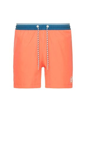 The Reef Riders 5.5 Swim Short in . Size S, XXL/2X - Chubbies - Modalova