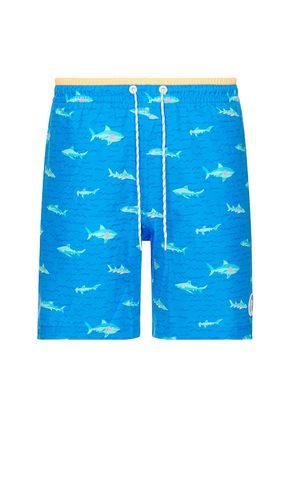 The Secret Tides 7 Swim Short in . Size M, S, XXL/2X - Chubbies - Modalova