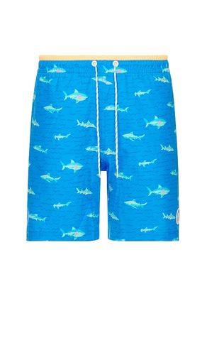 The Secret Tides 7 Swim Short in . Size XXL/2X - Chubbies - Modalova