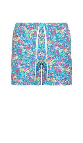 The Tropical Bunches 5.5 Swim Short in . Size S, XL/1X - Chubbies - Modalova