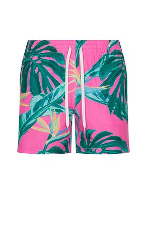 The Birds Of Paradise 5.5 Swim Short en . Taille L. Also en M, S, XL/1X - Chubbies - Modalova