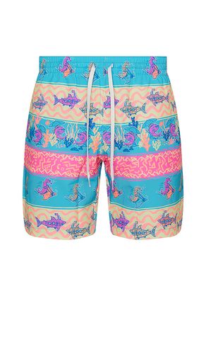 The Rodeo Stingray 7 Swim Short en . Taille L. Also en M, S, XL/1X - Chubbies - Modalova