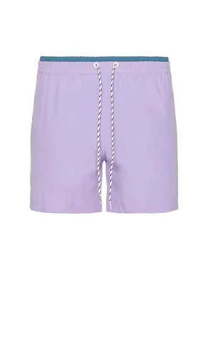 The Love-nders 5.5 Swim Short in . Size M, XL/1X - Chubbies - Modalova